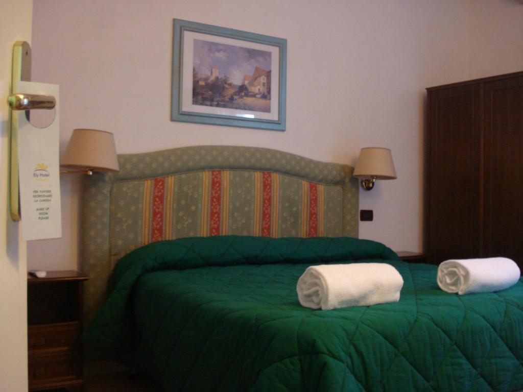 Hotel Ely Viareggio Rum bild
